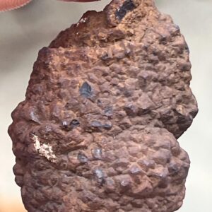 CHRISTMAS SALE %-->unique gift @ 81 g chondrite meteorite,raw natural asteroid rock